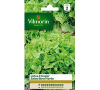Vilmorin 3609742 Pack de Graines Laitue à Couper Salade Bol Vert