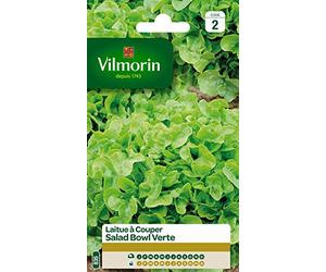 Vilmorin 3609742 Pack de Graines Laitue à Couper Salade Bol Vert