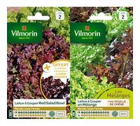 Vilmorin 3609842 Pack de Graines Laitue à Couper Salade Bol Rouge + Echantillon Laitue à Couper Grenadine + Vilmorin 3609242 Pack de Graines Laitue à Couper en Mélange Bol Vert/Rouge