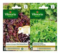 Vilmorin 3609842 Pack de Graines Laitue à Couper Salade Bol Rouge + Echantillon Laitue à Couper Grenadine + Vilmorin 3609742 Pack de Graines Laitue à Couper Salade Bol Vert