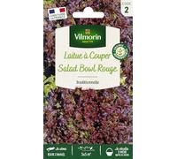 Vilmorin-3609882-LAITUE Red Salad Bowl VL 2