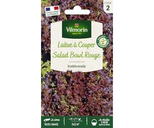 Vilmorin-3609882-LAITUE Red Salad Bowl VL 2