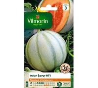 Vilmorin 3664743 Pack de Graines Melon Savor HF1 Création