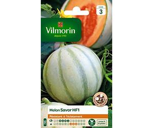 Vilmorin 3664743 Pack de Graines Melon Savor HF1 Création