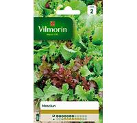 Vilmorin 3680042 Mesclun Vert/Rouge 9 x 0,5 x 16 cm