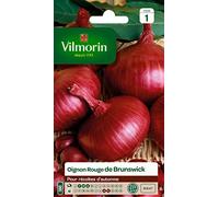 Vilmorin 3751041 Oignon Rouge 9 x 0,5 x 16 cm