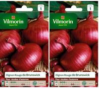 Vilmorin 3751041 Oignon Rouge 9 x 0,5 x 16 cm (Lot de 2)
