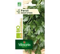 Vilmorin 3790034 Persil géant Vert 9 x 0,5 x 16 cm