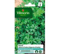 Vilmorin 3790542 Pack de Graines Persil Commun Géant d'Italie
