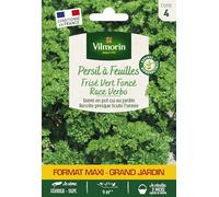 Vilmorin 3805048-PERSIL RACE VERBO GM VL 4