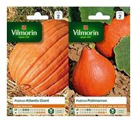 Vilmorin 3860442 Pack de Graines Potiron Atlantic Giant Fruits Enormes + Vilmorin 3486845 Pack de Graines Potiron Potimarron