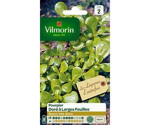 Vilmorin 3875042 Pourpier dore Vert 9 x 0.5 x 16 cm