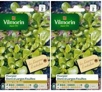 Vilmorin 3875042 Pourpier dore Vert 9 x 0.5 x 16 cm (Lot de 2)