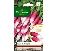 VILMORIN Radis de 18 jours avec un échantillon radis