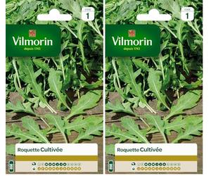 Vilmorin 3910741 Roquette cultivée Vert 9 x 0.5 x 16 cm (Lot de 2)