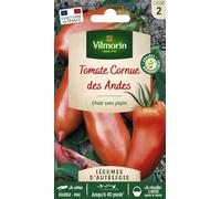 Vilmorin-3961342-TOMATE CORNUE DES ANDES VL 2