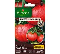 Vilmorin - Sachet graines Tomate Agora HF1