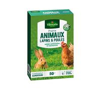 Vilmorin 4461312 Prairie Animaux Lapins et Poules, Vert, 5.80 x 14.5 x 22 cm