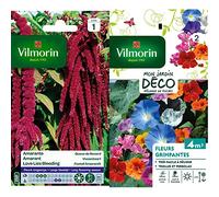 Vilmorin 5129841 Amarante Queue de Renard, Violet, 90 x 2 x 160 cm & 5860642 Pack de Graines Fleur Grimpante