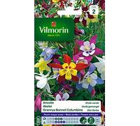 Vilmorin 5135842 Ancolie etoile variée Multicolore 9 x 0,5 x 16 cm