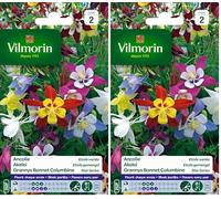 Vilmorin 5135842 Ancolie etoile variée Multicolore 9 x 0,5 x 16 cm (Lot de 2)
