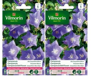 Vilmorin 5182541 Campanule Bleu 9 x 0.5 x 16 cm (Lot de 2)