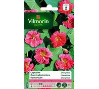 VILMORIN Capucine naine double Cherry Rose