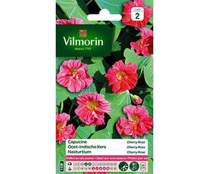 Vilmorin 5187542 Capucine naine Rose 9 x 0,5 x 16 cm