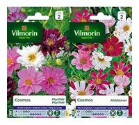 Vilmorin 5248142 Pack de Graines Cosmos Psyché Varié + Vilmorin 5248842 Pack de Graines Cosmos Aldebaran Pétales Tubules