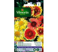 Vilmorin 5271241 Gaillarde variée à grande fleur Multicolore 9 x 0,5 x 16 cm
