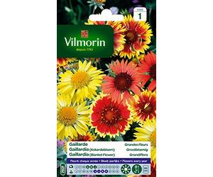 Vilmorin 5271241 Gaillarde variée à grande fleur Multicolore 9 x 0,5 x 16 cm
