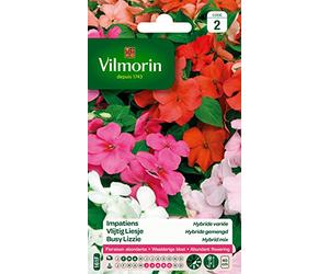 Vilmorin 5320142 Impatiens hybride variée Multicolore 9 x 0.5 x 16 cm