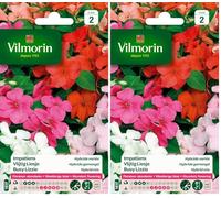 Vilmorin 5320142 Impatiens hybride variée Multicolore 9 x 0.5 x 16 cm (Lot de 2)