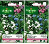 Vilmorin 5380541 Myosotis Multicolore 9 x 0.5 x 16 cm (Lot de 2)