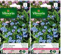 Vilmorin 5380741 Myosotis, Bleu, 90 x 2 x 160 cm (Lot de 2)