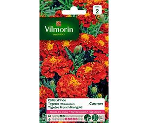 Vilmorin 5441142 Œillet Rouge 9 x 0.5 x 16 cm