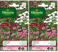 Vilmorin 5448242 Pâquerette, Multicolore, 90 x 2 x 160 cm