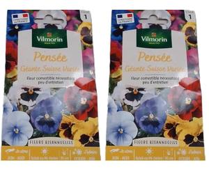 Vilmorin 5471241 Pensée géante Multicolore 9 x 0,5 x 16 cm (Lot de 2)