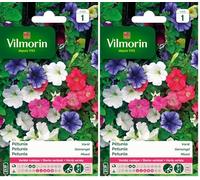 Vilmorin 5510541 Pétunia varie, Multicolore, 90 x 2 x 160 cm (Lot de 2)