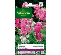 Vilmorin 5630142 Pois vivace varie Multicolore 9 x 0,5 x 16 cm