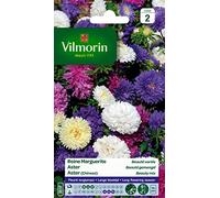 Vilmorin 5703442 Reine Marguerite, Multicolore, 90 x 2 x 160 cm