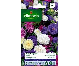 Vilmorin 5703442 Reine Marguerite, Multicolore, 90 x 2 x 160 cm