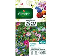 Vilmorin 5860042 Jolie Fleur, Multicolore, 90 x 2 x 160 cm