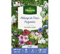 Vilmorin-5862947 Mélange de fleurs-Fleurs Parfumées - 7 m²
