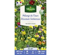 Vilmorin 5867242-MELANGE RESISTANT SEC 25M2 VL