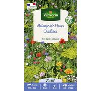 Vilmorin-5868342 Mélange de fleurs-Fleurs Oubliées - 25 m²