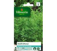 Vilmorin 5871046 Pack de Graines Aneth Officinal | Goût frais et épicé, culture facile en pots ou jardinières, semis avril-mai, récolte de juin à août