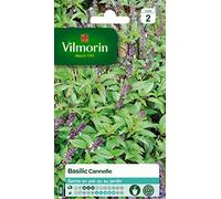 Vilmorin 5872246 Pack de Graines Basilic Cannelle
