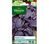Vilmorin 5873046 Pack de Graines Basilic Pourpre