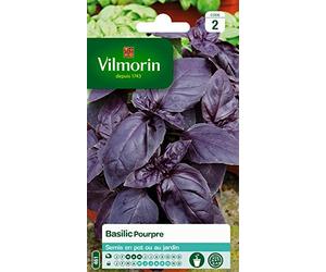 Vilmorin 5873046 Pack de Graines Basilic Pourpre
